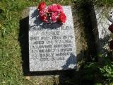 image of grave number 245322
